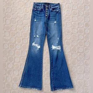 Flying Monkey High Rise Flare Jeans